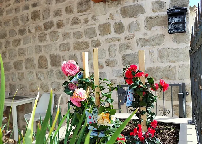 Harriete Διαμέρισμα